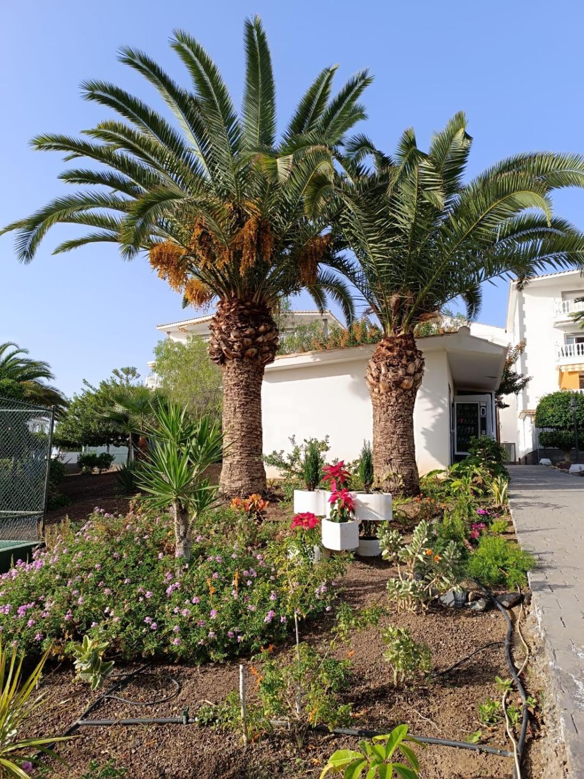Vista Hermosa Apartment Arona (Tenerife) Exterior foto